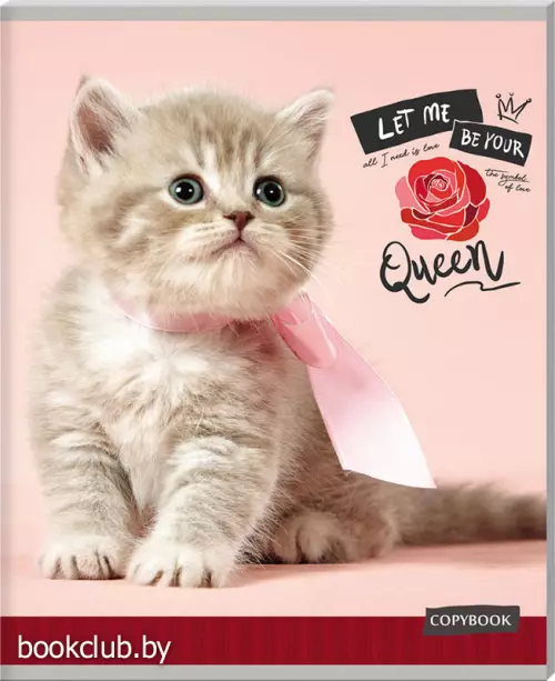 Тетрадь в клетку «Пушистые котята» (48 листов, А5)