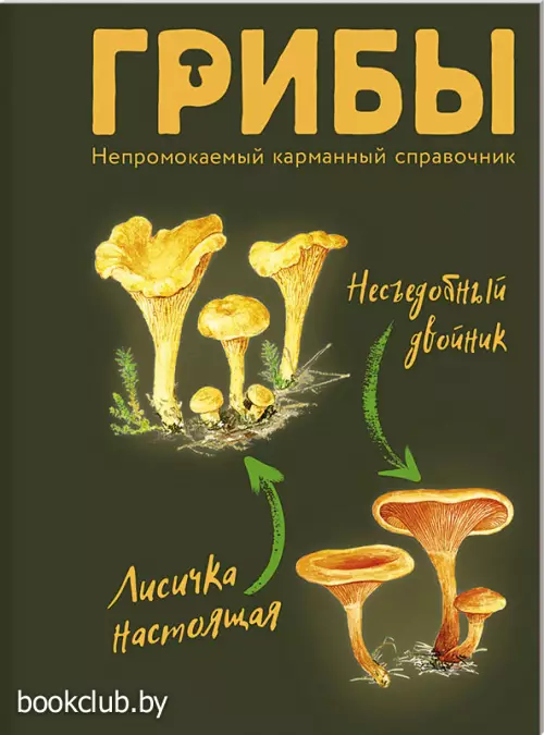 Грибы. Непромокаемый карманный справочник