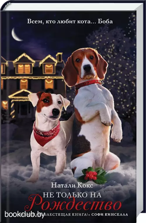 Не только на Рождество