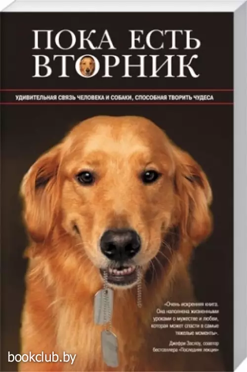 Пока есть Вторник