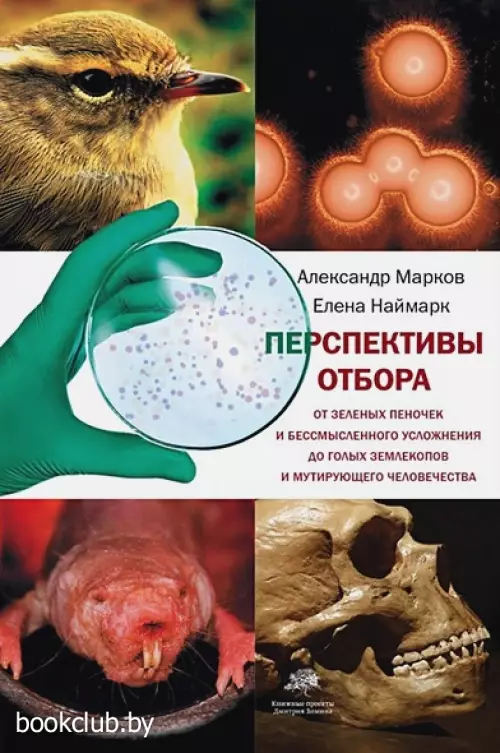 Перспективы отбора