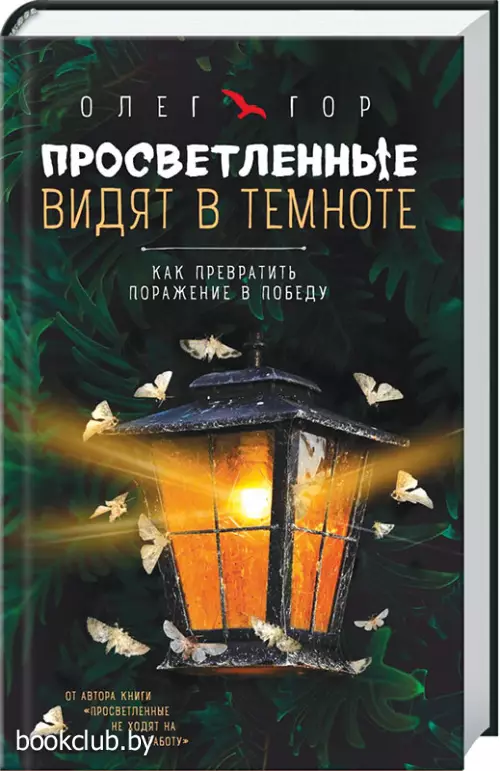 Просветленные видят в темноте. Как превратить поражение в победу