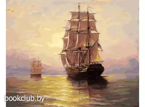 Картина по номерам на холсте «По водной глади» (40х50 см)