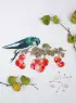 Французская вышивка крестом. Великолепные цветы и птицы Элен ле Берр