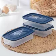 Набор контейнеров для заморозки продуктов, 0,7л, 3 шт., 18,5х12х8,5см «Морозко», цвет МИКС
