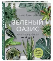Зеленый оазис. Комнатные растения от А до Я, Ирина Березкина