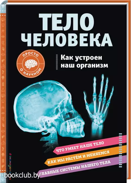 ТЕЛО ЧЕЛОВЕКА. Как устроен наш организм
