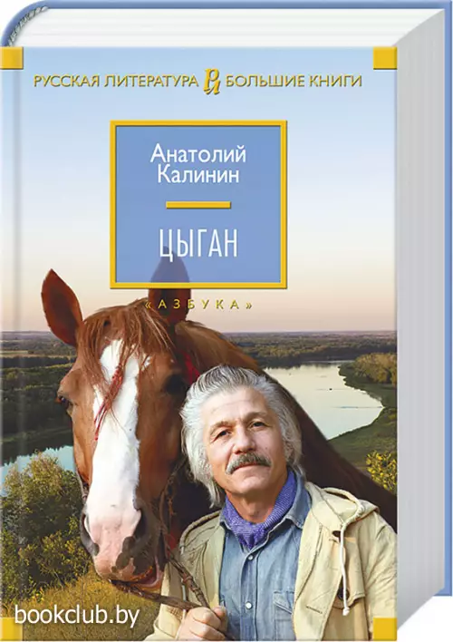 Цыган (2015)