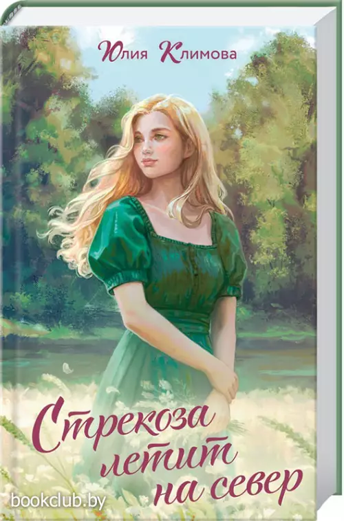 Стрекоза летит на север