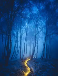 Мистика. Лучшие книги