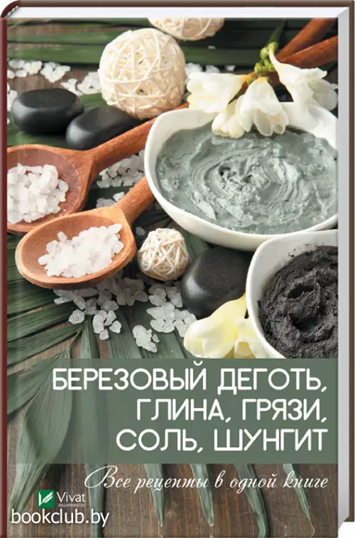 Березовый деготь, глина, грязи, соль, шунгит. Все рецепты в одной книге Березовый деготь, глина, грязи, соль, шунгит. Все рецепты в одной книге