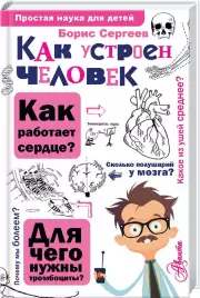 Как устроен человек