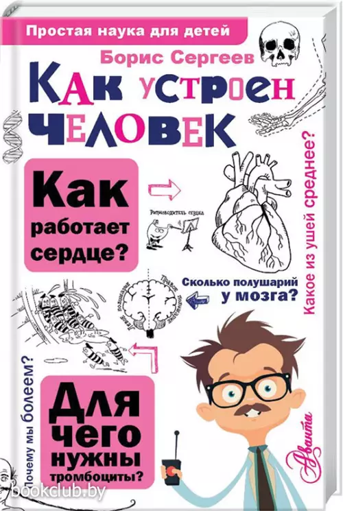 Как устроен человек Как устроен человек