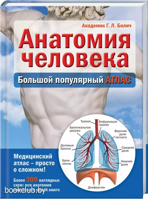 Анатомия человека: большой популярный атлас