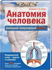 Анатомия человека: большой популярный атлас, Габриэль Билич