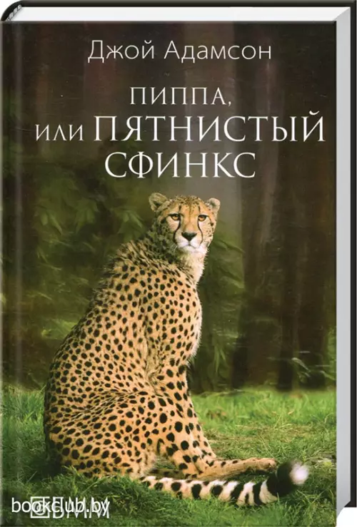 Пиппа, или Пятнистый сфинкс