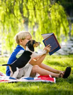 Детские книги для веселых каникул