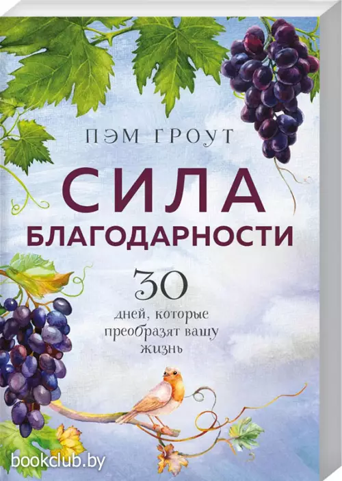 Сила благодарности. 30 дней, которые преобразят вашу жизнь