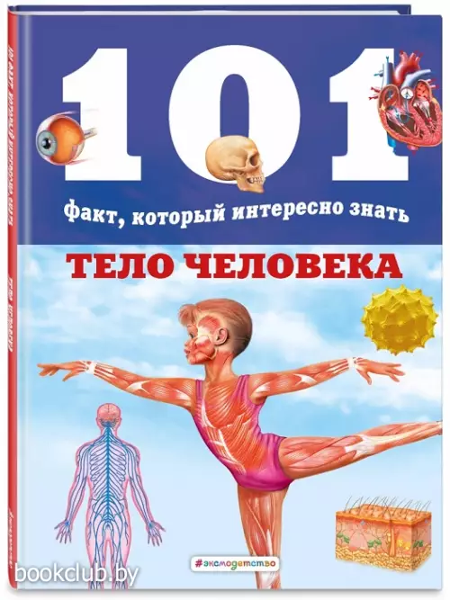 Тело человека (2021)