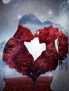 Топ книг об отношениях и сексе