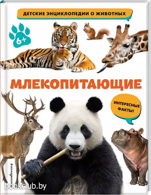 Млекопитающие