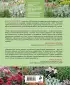 Цветники: 85 лучших композиций (новое оформление) Цветники: 85 лучших композиций (новое оформление)