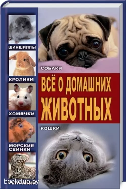 Все о домашних животных