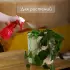 Пульверизатор, 0.4 л, цвет МИКС, Greengo