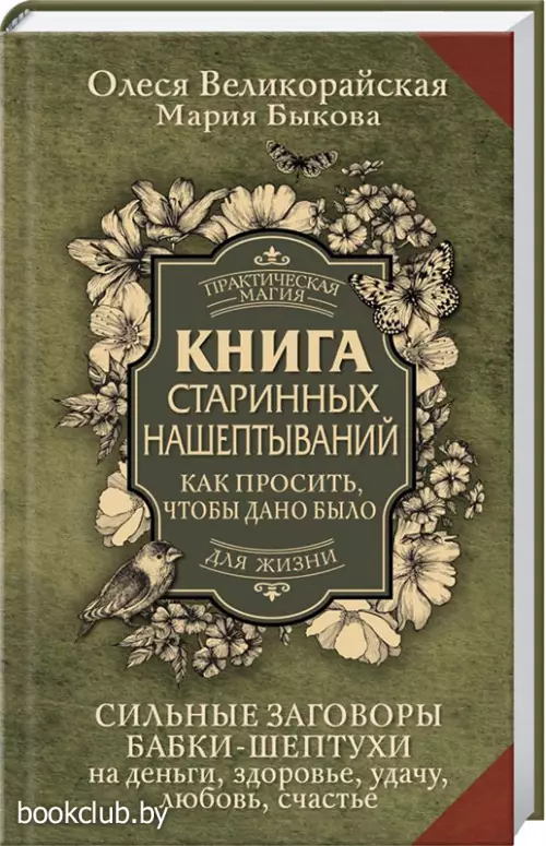 Книга старинных нашептываний. Как просить, чтобы дано было. Сильные заговоры бабки-шептухи на деньги, здоровье, удачу, любовь, счастье