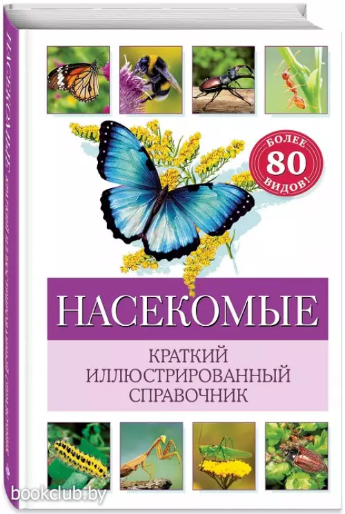 Насекомые. Краткий иллюстрированный справочник