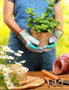 Лучшие книги для дачников