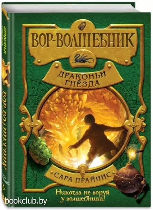 Вор-волшебник. Драконьи гнёзда