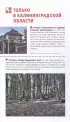 Калининград и Калининградская область: Зеленоградск, Куршская коса, Светлогорск, Балтийск, Янтарный, Черняховск, Советск, Правдинск, Железнодорожный