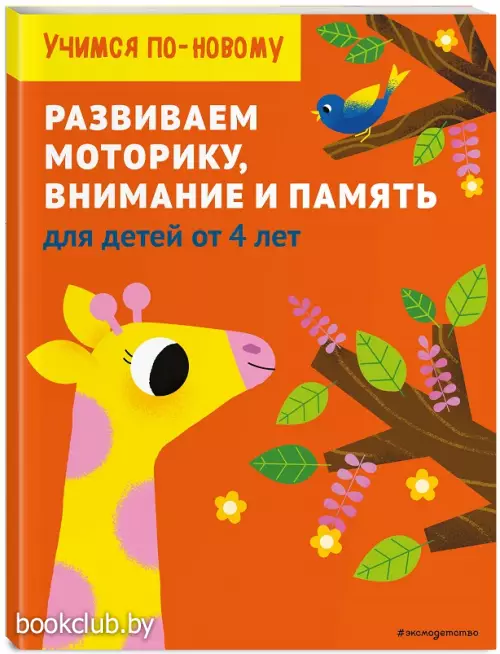 Развиваем моторику, внимание и память: для детей от 4 лет