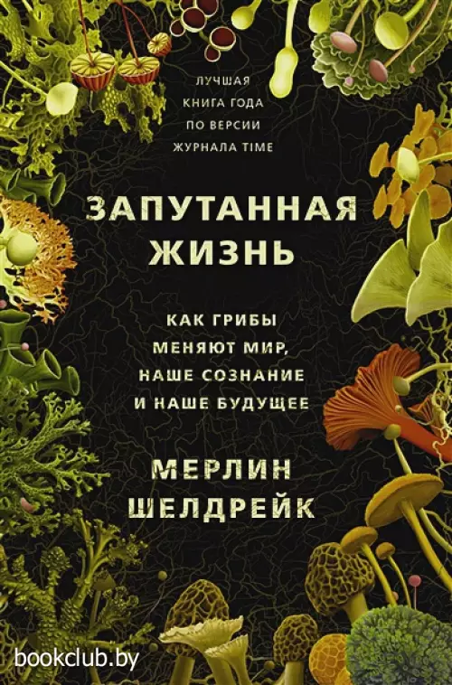 Запутанная жизнь. Как грибы меняют мир, наше сознание и наше будущее (тв)