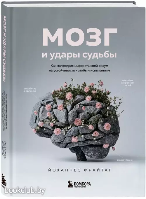 Мозг и удары судьбы. Как запрограммировать свой разум на устойчивость к любым испытаниям