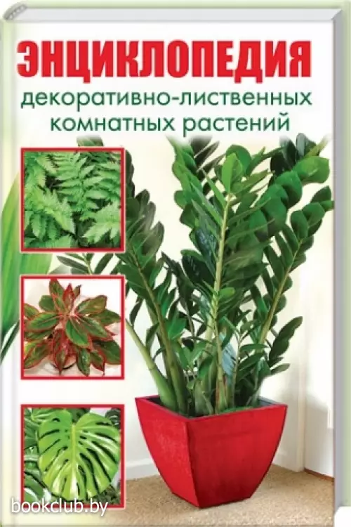 Энциклопедия декоративно-лиственных комнатных растений (256с)