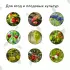 Сетка садовая, мягкая, 5×4 м, ячейка 15×15 мм, от птиц, Greengo