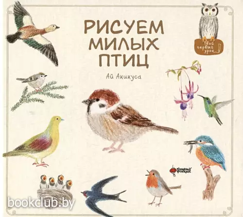 Рисуем милых птиц