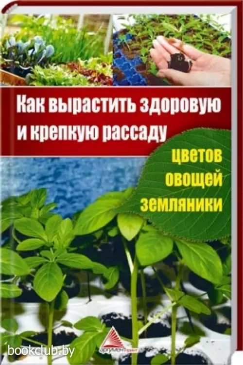 Как вырастить здоровую и крепкую рассаду цветов, овощей, земляники