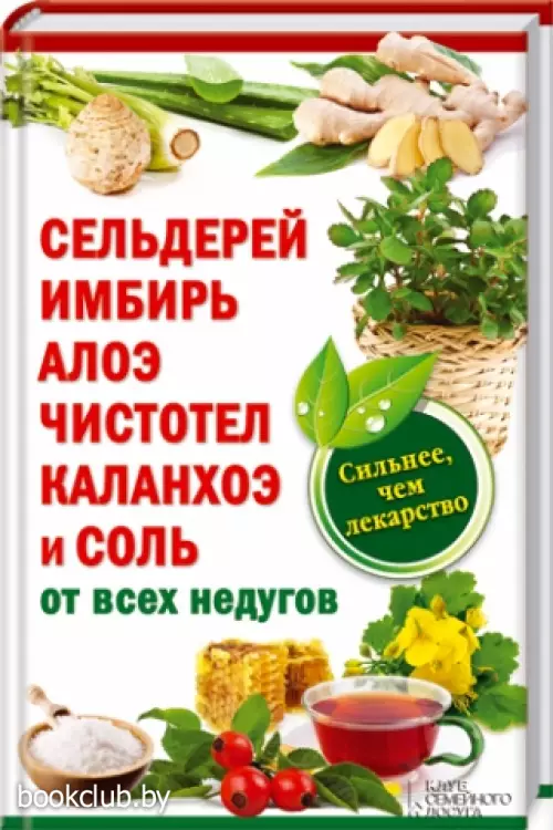 Сельдерей, имбирь, алоэ, чистотел, каланхоэ и соль от всех недугов Сельдерей, имбирь, алоэ, чистотел, каланхоэ и соль от всех недугов