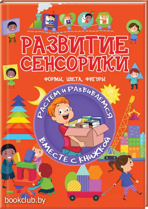 Развитие сенсорики. Формы, цвета, фигуры