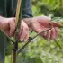 Веткодержатель, h=9 см, подпорка для деревьев, чёрный, Greengo