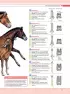 Лошади. Самая полная иллюстрированная энциклопедия