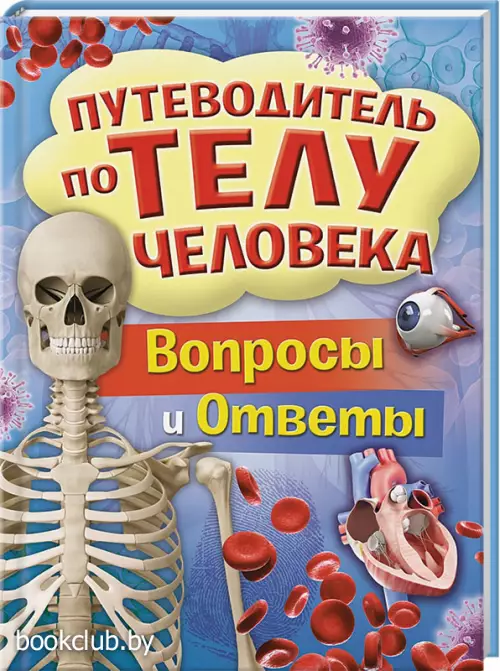 Путеводитель по телу человека. Вопросы и ответы