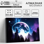 Алмазная вышивка полное заполнение «Сказочный лес», на холсте 40*50 см