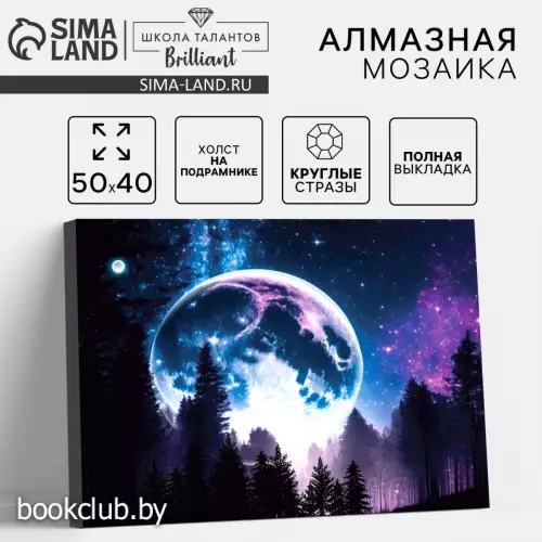 Алмазная вышивка полное заполнение «Сказочный лес», на холсте 40*50 см