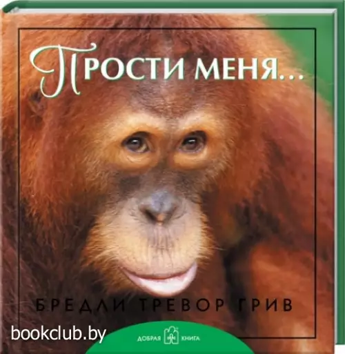 Прости меня...