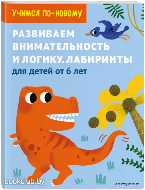 Развиваем внимательность и логику. Лабиринты: для детей от 6 лет