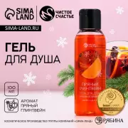 Гель для душа, 100 мл, аромат пряного глинтвейна